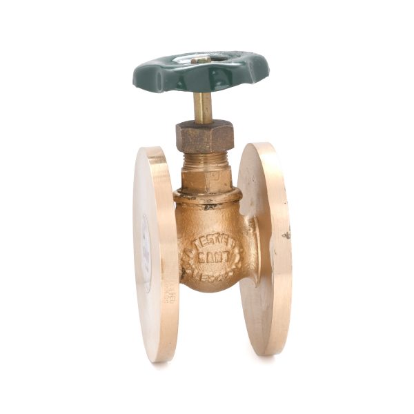 Bronze Globe Valve